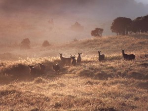 Trekking with Walkers Tours