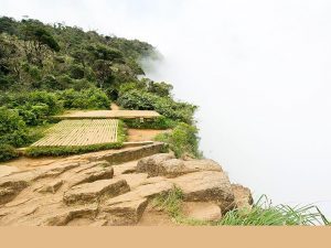 Horton Plains Sri Lanka