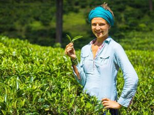 Nuwara Eliya Sri Lanka