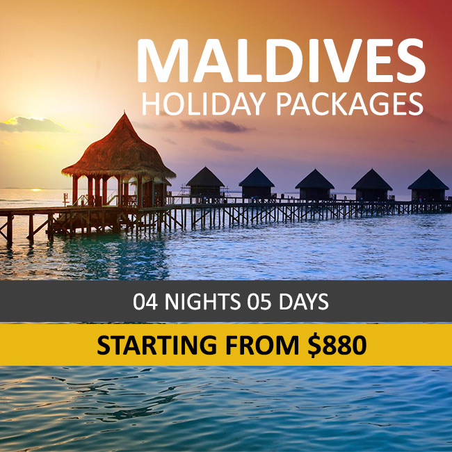 Maldives Offfers