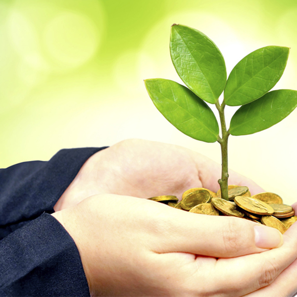 Corporate Responsibility in sri lanka