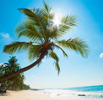 Sandy beach, turquoise ocean & the blues sky of Sri Lanka