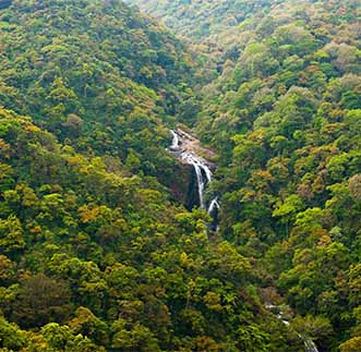 Panoramic view of a beautiful waterfall among lush greenery