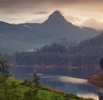 Beautiful view of misty mountains in hill country Sri Lanka