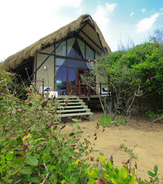 Jungle Beach By Uga in sri lanka