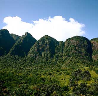 Knuckles Mountain Range - the forest, rugged trails & scenery