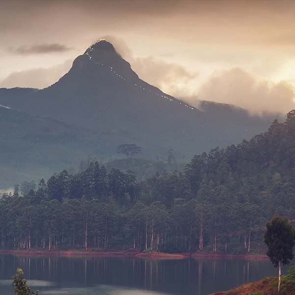 The Wanderer in sri lanka