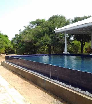 Dutch Bay Resort Pool View During Day Time