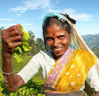 The radiant smile of a tea plucker in Hill-country