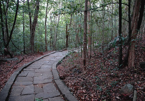 Ritigala, a Wild Religious Retreat in sri lanka