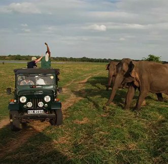 Standard Jeep Safari – Kaudulla in sri lanka