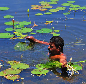 Three Lakes in sri lanka