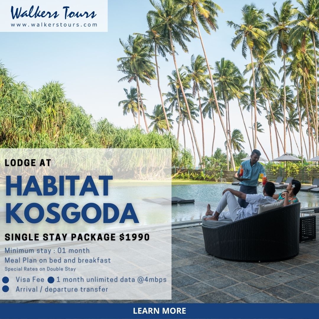 Special Offer for Digital Nomads to Lodge at Habitat Kosgoda