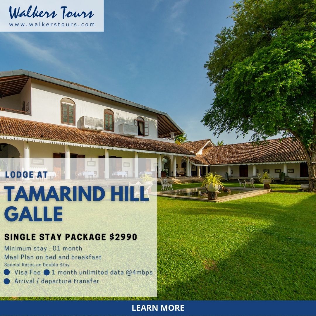 Special Offer for Digital Nomads to Lodge at Tamarind Hill Galle