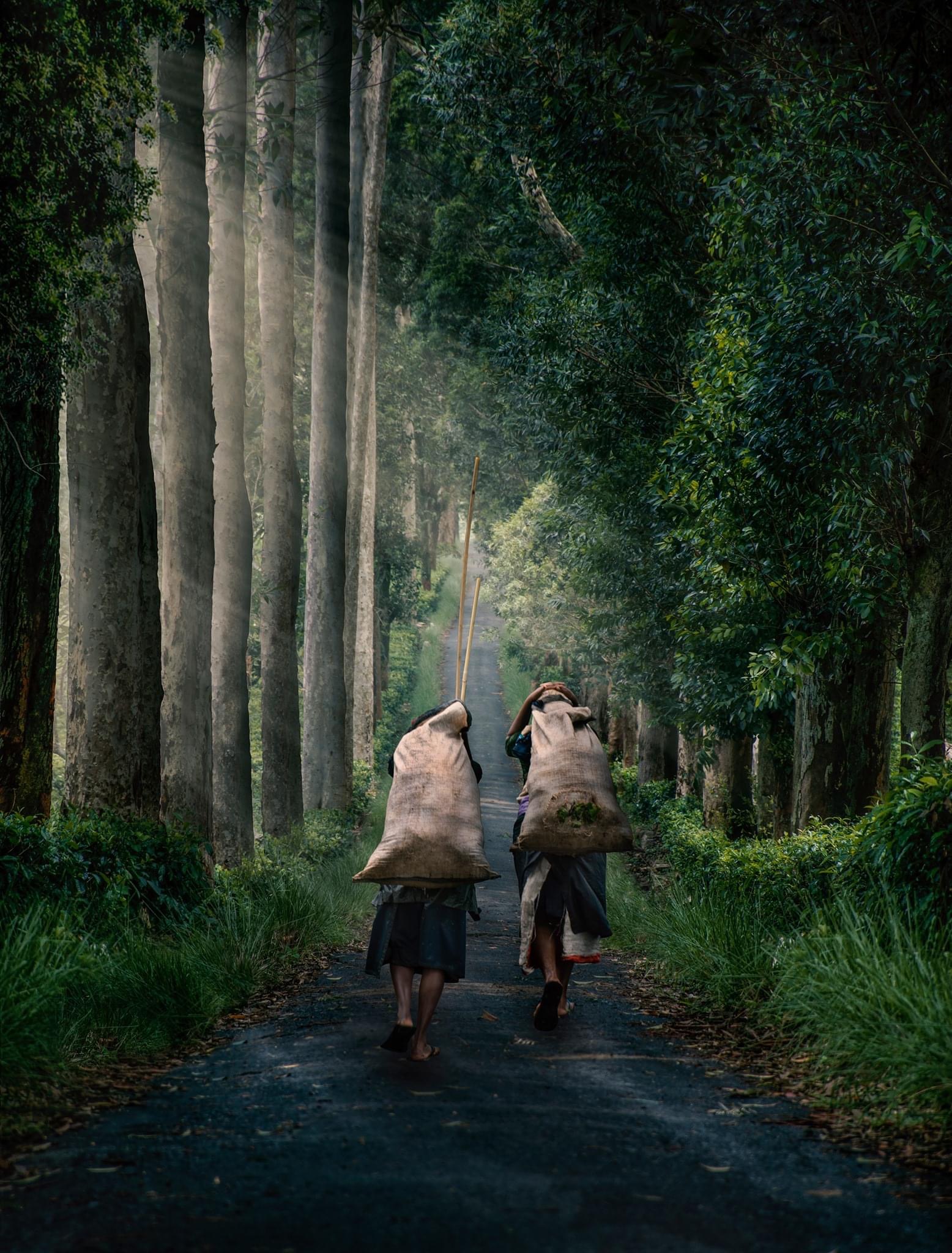 Village trek with Traditional lunch in sri lanka