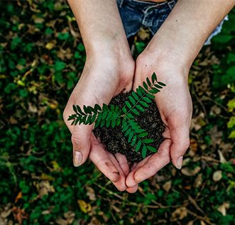 Sustainability in sri lanka