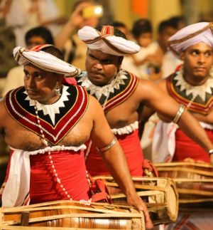 Summer special package - Esala Perahara Highlights in sri lanka