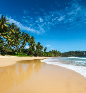 Sri Lanka Ranked Second Most Popular Travel Destination in Asia by Times of India in sri lanka