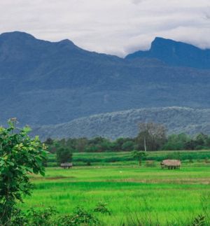 Mahiyanganaya