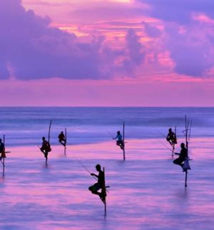 Sri Lanka named a top summer 2024 destination by Forbes in sri lanka