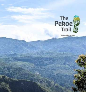 Sri Lanka's Pekoe Trail joins TIME's list of World's Greatest Places in sri lanka