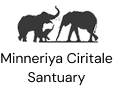 minneriya-wild