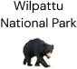 wilpattu-wild